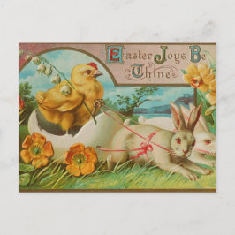 chick en bunny paasgroet briefkaart
