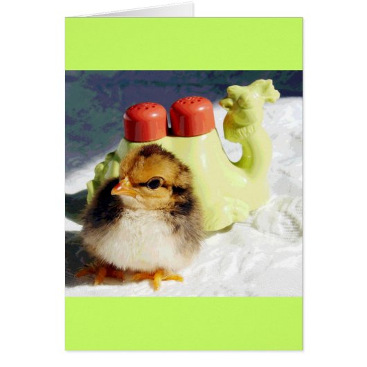 Chick en Camel (Voorkant)