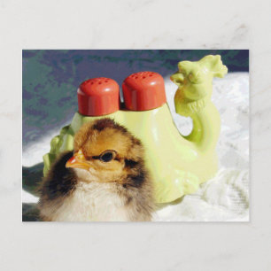 Chick en Camel Briefkaart