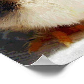 Chick en Camel Poster (Hoek)