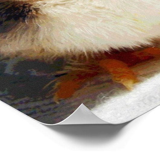 Chick en Camel Poster (Hoek)