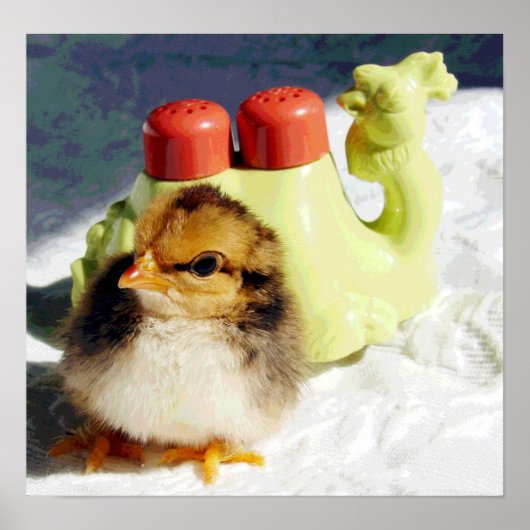 Chick en Camel Poster (Voorkant)