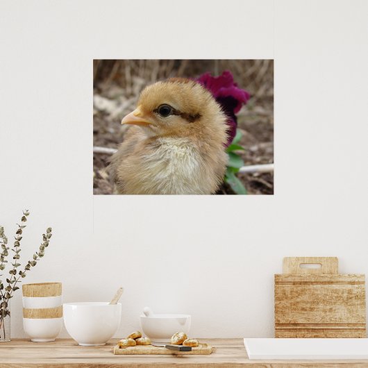Chick en Pansy Poster (Keuken)