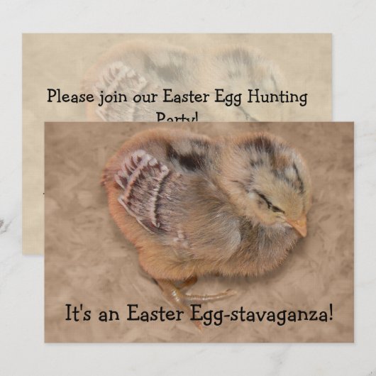 Chick - Fluffy Baby Chicken Easter Kaart (Voorkant / Achterkant)