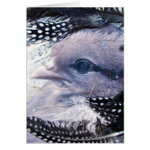 Chick gemengde media collage