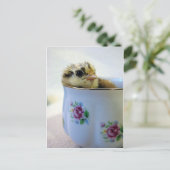Chick in een Tea Cup Feestdagenkaart (Staand voorkant)