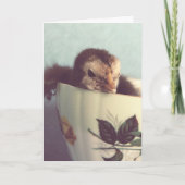 Chick in een  theekopje Pasen Feestdagen Kaart (Voorkant)