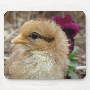 Chick in Pansy Garden Muismat