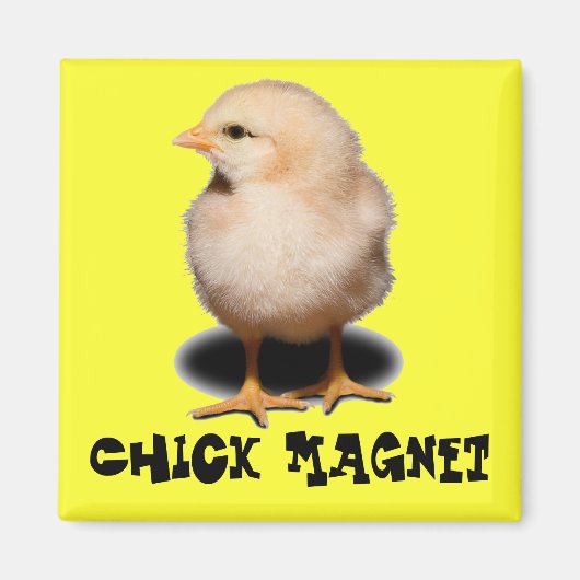 Chick Magnet (Voorkant)