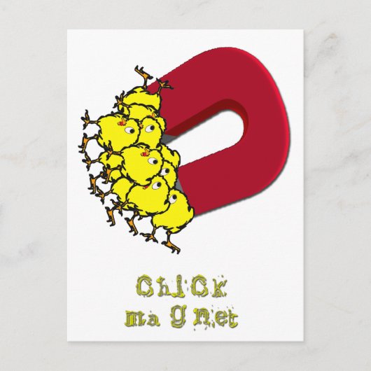 Chick Magnet Briefkaart (Voorkant)