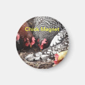 Chick Magnet - een groep kleurrijke kippen (Voorkant)