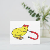 Chick Magnet grappig man Briefkaart (Staand voorkant)