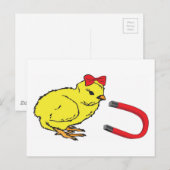 Chick Magnet grappig man Briefkaart (Voorkant / Achterkant)