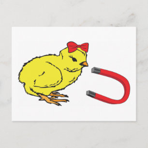 Chick Magnet grappig man Briefkaart