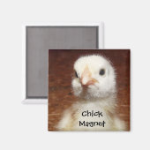 Chick Magnet - Leuke Chick Foto (Voorkant / Achterkant)