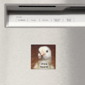 Chick Magnet - Leuke Chick Foto (Insitu (Vaatwasser))