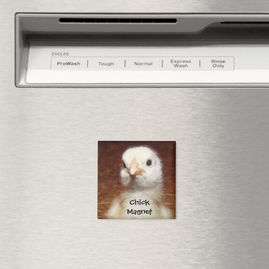 Chick Magnet - Leuke Chick Foto (Insitu (Vaatwasser))