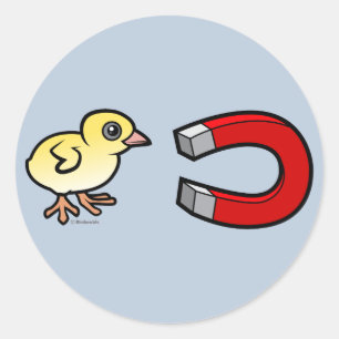 Chick Magnet Ronde Sticker