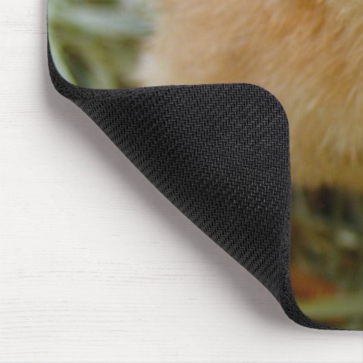 Chick Muismat (Hoek)