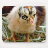 Chick Muismat (Voorkant)