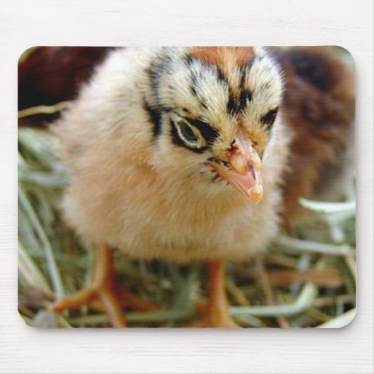 Chick Muismat (Voorkant)