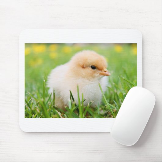 Chick Muismat (Met muis)