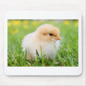 Chick Muismat (Voorkant)