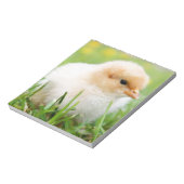 Chick Notitieblok (Linkerzijde)