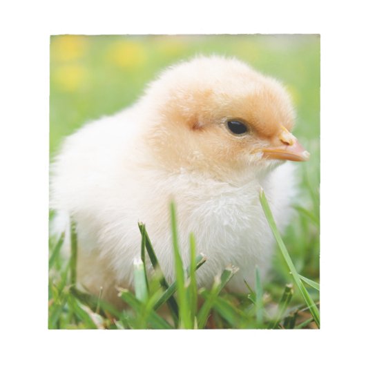 Chick Notitieblok (Voorkant)