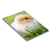Chick Notitieboek (Rechterzijde)