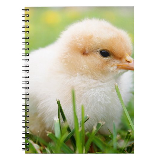 Chick Notitieboek (Voorkant)