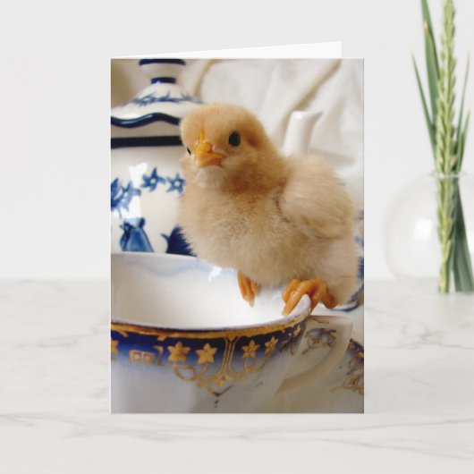 Chick On A Teacup beroemd gemaakt door Angelandspo Kaart (Voorkant)