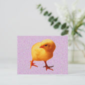 Chick on the Move Briefkaart (Staand voorkant)