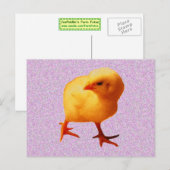 Chick on the Move Briefkaart (Voorkant / Achterkant)