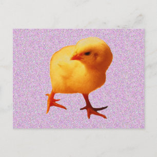 Chick on the Move Briefkaart