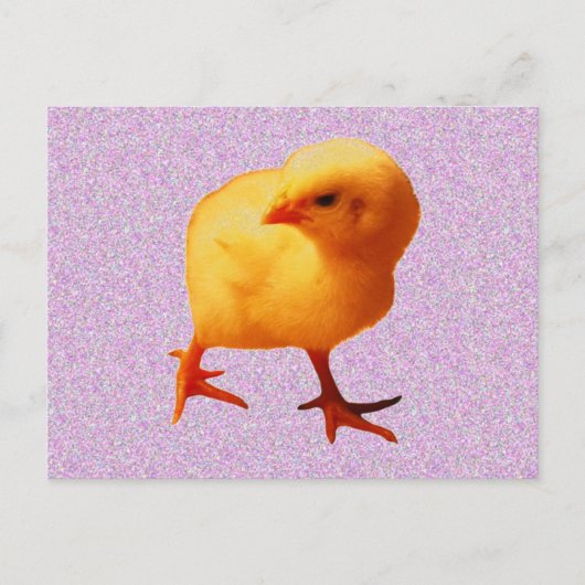 Chick on the Move Briefkaart (Voorkant)