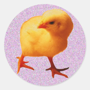 Chick on the Move Ronde Sticker