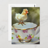 Chick op een  theekopje briefkaart (Voorkant / Achterkant)