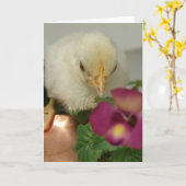 Chick op koperen thee waterkoker in de tuin alle g kaart (Gele Bloem)