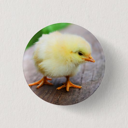 Chick Pin Ronde Button 3,2 Cm (Voorkant)