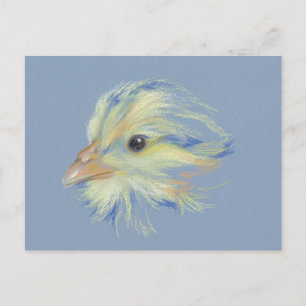 Chick Plymouth Barred Rock Briefkaart