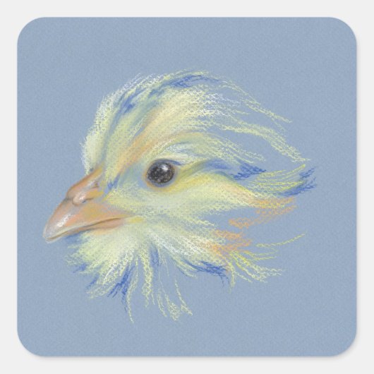 Chick Plymouth Barred Rock Vierkante Sticker (Voorkant)