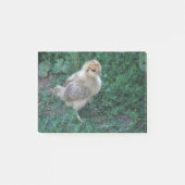 Chick Post-it® Notes (Voorkant)