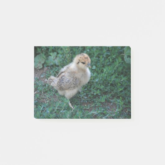 Chick Post-it® Notes (Voorkant)