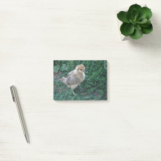 Chick Post-it® Notes (Kantoor)