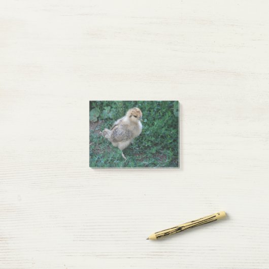 Chick Post-it® Notes (Op bureau)