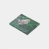 Chick Post-it® Notes (Schuin)