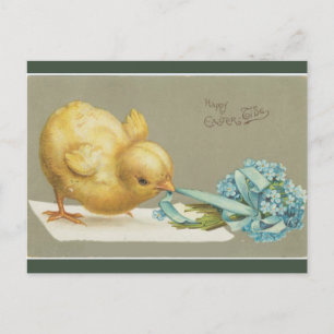  Chick Pulling Flowers Pasen Briefkaart