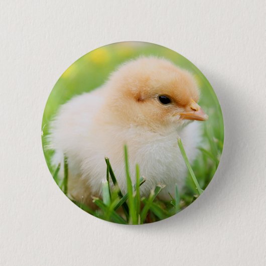 Chick Ronde Button 5,7 Cm (Voorkant)