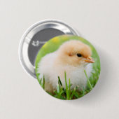 Chick Ronde Button 5,7 Cm (Voorkant /achterkant)